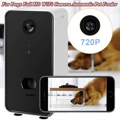 pet camera and feeder