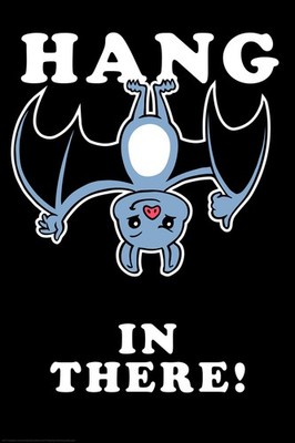 Hang In There Upside Down Bat Funny Parody LCT Creative Art Print Poster 12x18
