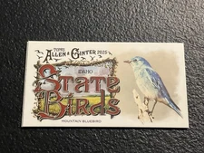 2025 Topps Allen & Ginter State Birds (Mini) SB-12 Mountain Bluebird (Idaho)