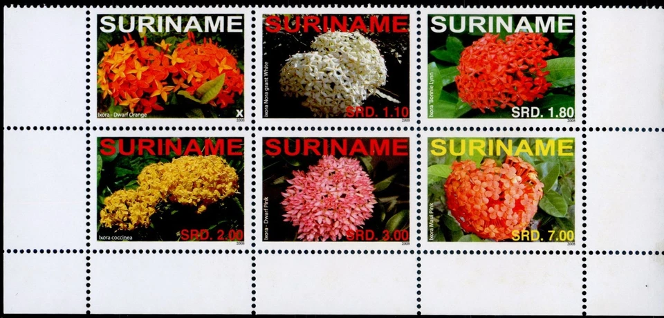 Suriname 2008 MNH**Flowers*Plants*Nature*Jungle Geranium*Flora*Ixora Coccinea 6v - Photo 1/1