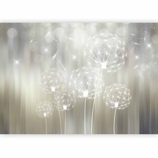 PUSTEBLUME BOKEH NATUR Fototapete Vlies Tapete xxl Wandtapete für Wohnzimmer