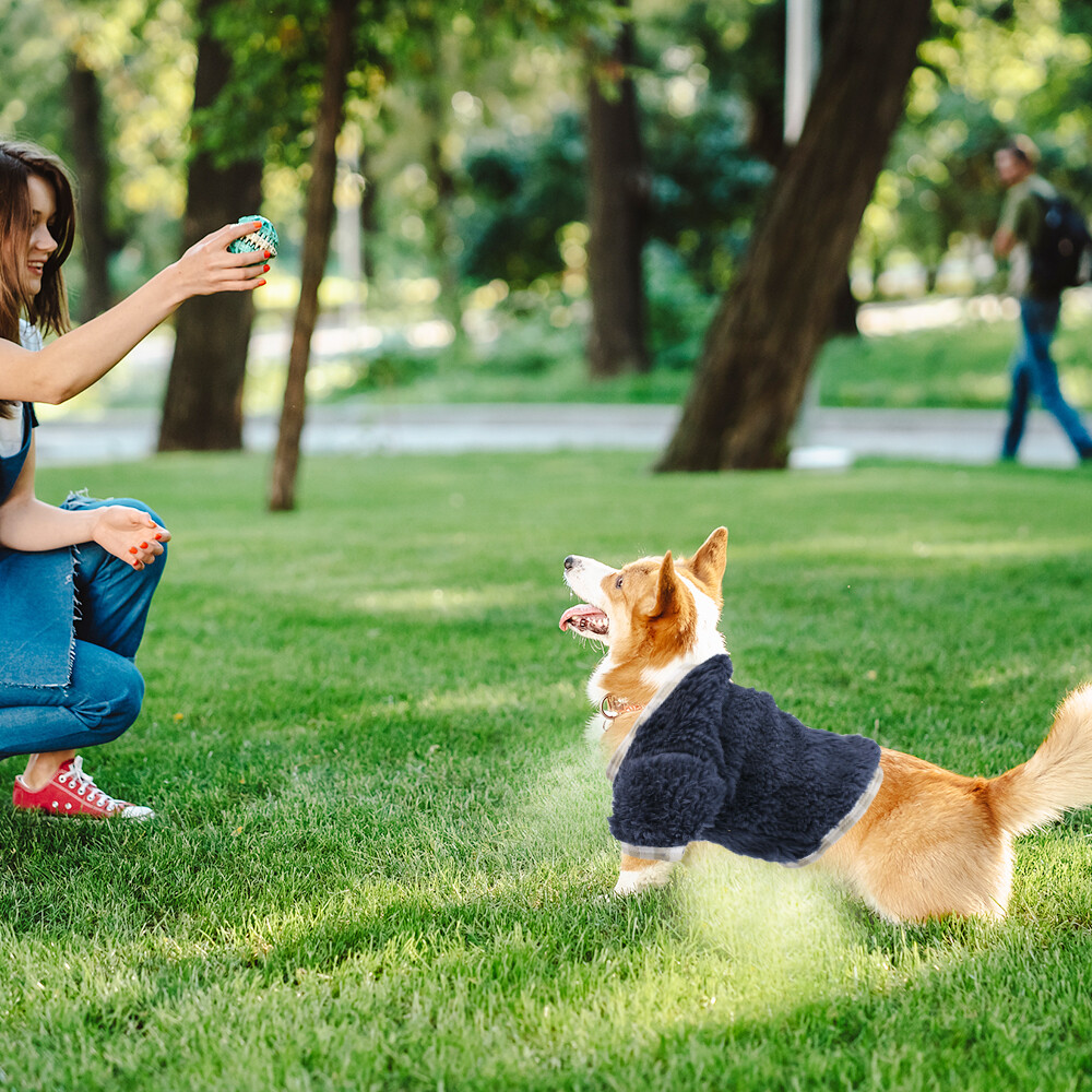 Small Dog Coat Puppy Knitted Sweater Thermal Jumper Winter Pet Warm Cat Clothes eBay