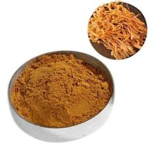 Cordyceps Mushroom Extract  Powder 25% Polysaccharide Free Shipping 1000 Gram