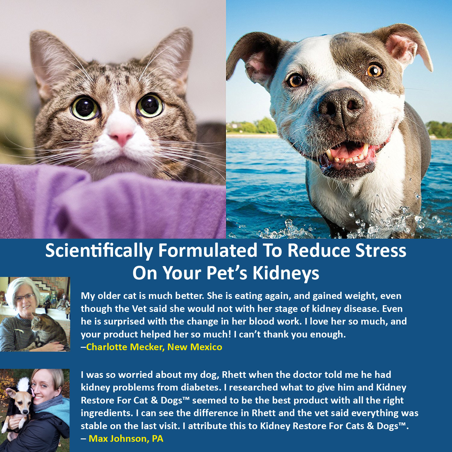 Kidney Restore Supplement Cats Dogs Pets Renal Feline Canine 3 Pack