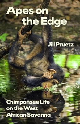 Apes on the Edge : Chimpanzee Life on the West African  -  NEW Jill Pruetz 2025