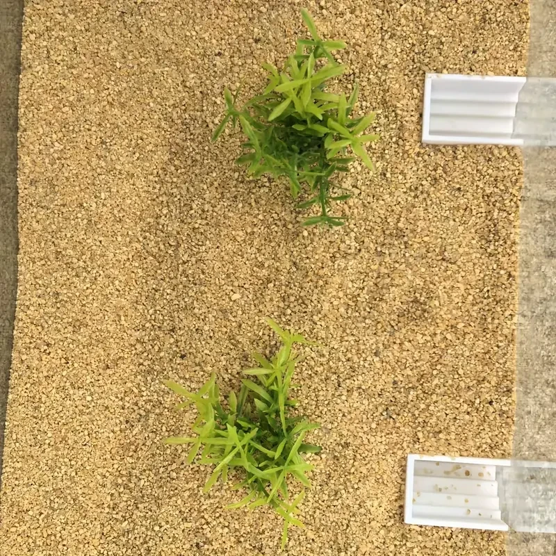 PLA S/L White Underground Corner Tunnel for Aquarium Cave for Aquatic Fish Tank - Image 3 of 4