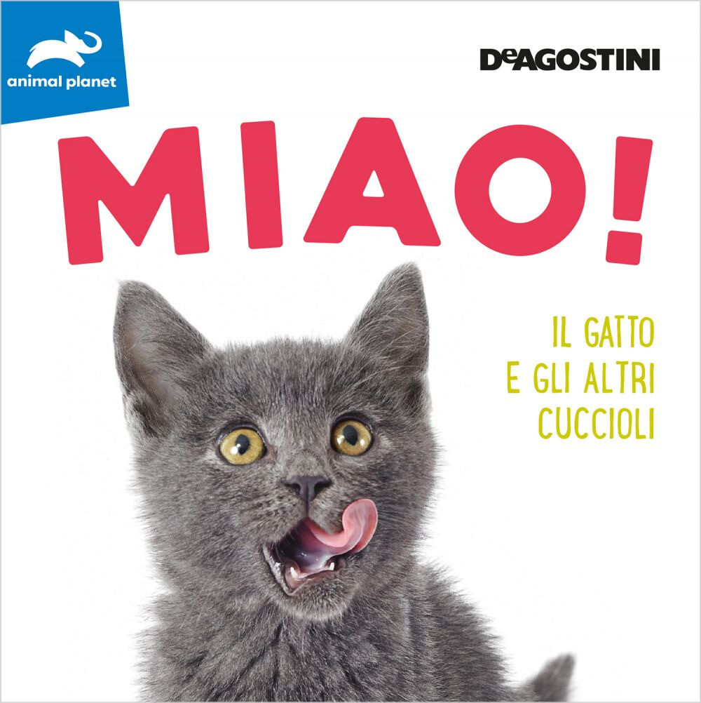 Foto 1 di 1