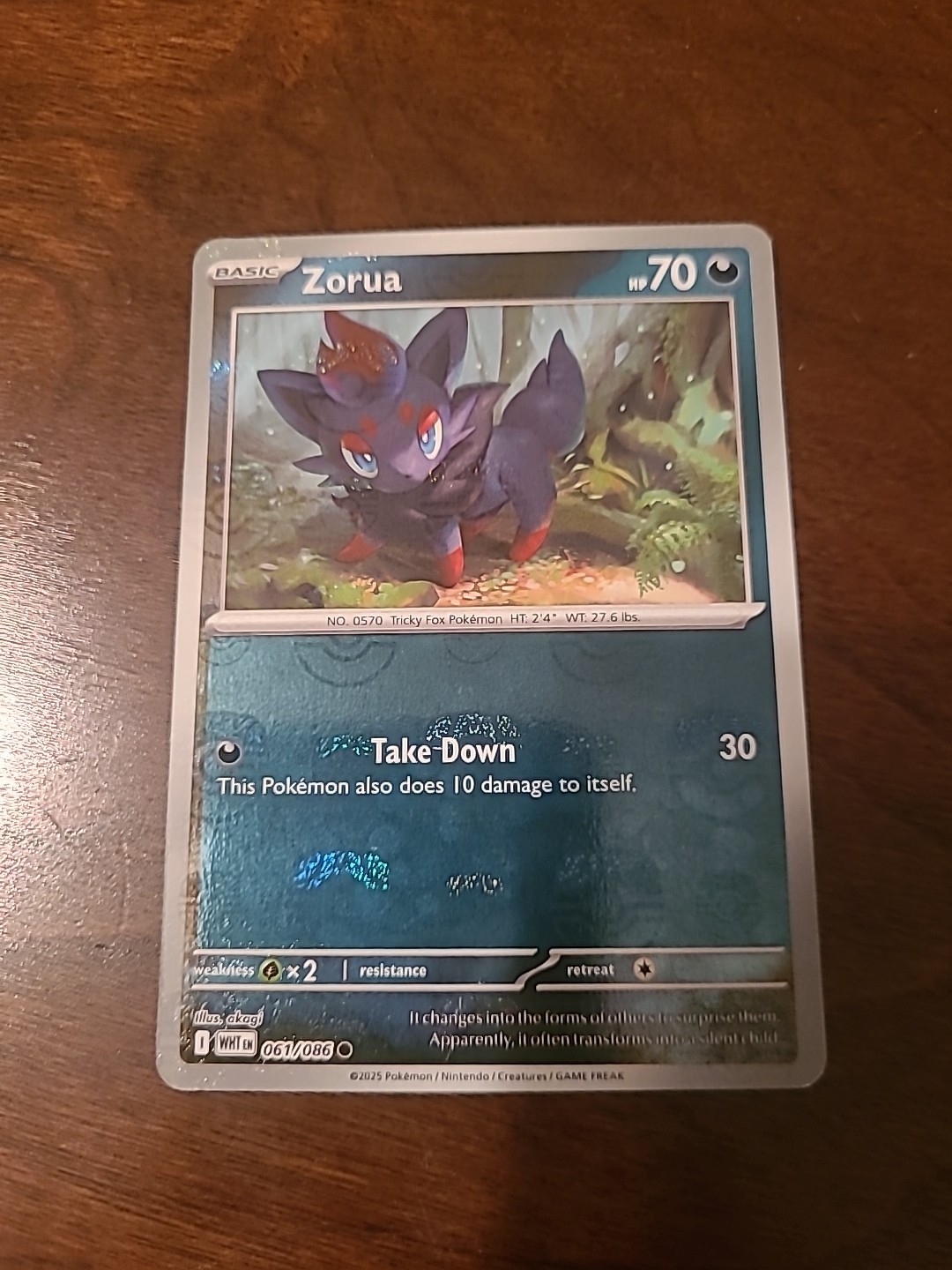 Zorua 061/086 Sv: White Flare Regular NM Master Ball PK000556