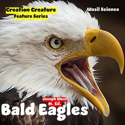 Creation Creature Features Bald Eagles! Joseph Paul-Staples Wasil
