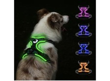 Light Up Dog Harness Dog Vest - USB-C Rechargeable large