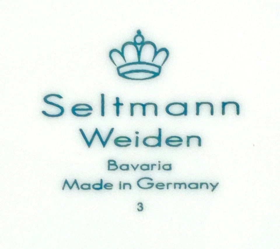 Platos planos de porcelana blanca Seltmann Weiden Marienbad paquete de 6 de 10 2/3" Foto 4 de 4