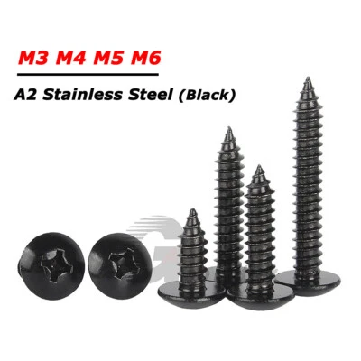Phillips Truss Head Sheet Metal Self Tapping Screws Black A2 304 Stainless Steel