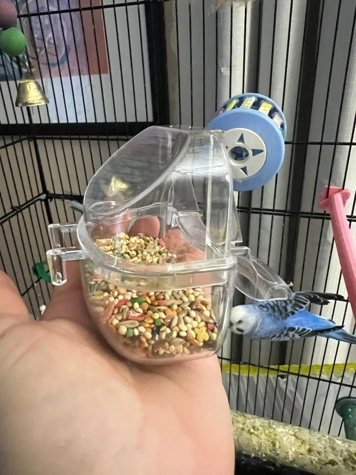 Paquete de 3 tazas de tolva cubiertas de alimentador de jaula para pájaros sin desorden periquito loro Foto 3 de 4