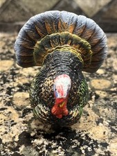 Safari Ltd TOM TURKEY Farm Bird Poultry Animal Figure 2006