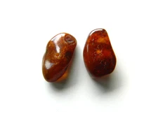 Amber, Baltic Sea, Dark Honey Flat Nuggets Centre Drilled, 15-19 x 10-11 Approx,