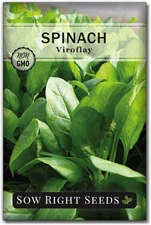 Sow Right Seeds - Viroflay Spinach Seed for Planting - Non-GMO