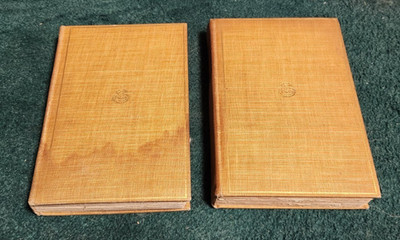 1905 Robert Louis Stevenson Biography by Graham Balfour w/Portraits Vols #25-26