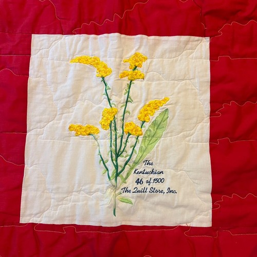 Vtg Hand Made The Kentuckian State of Kentucky Quilted Quilt Embroidered 93x76 - Picture 3 of 10