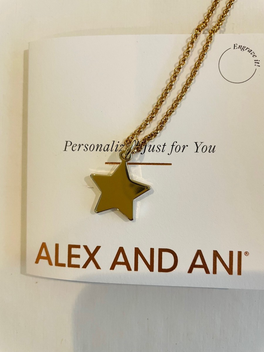 alex and ani gold star charm necklace, gift box,19