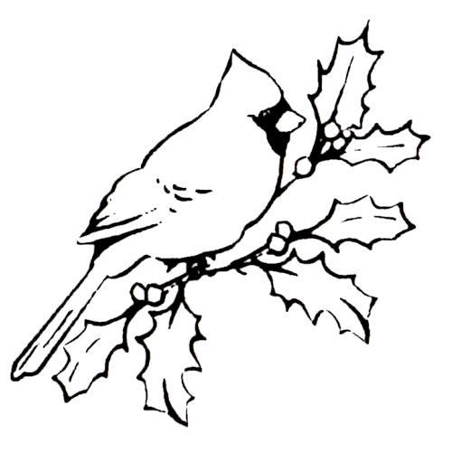 CARDINAL on Holly Branch UNMOUNTED Christmas rubber stamp, winter, bird #7 - Picture 1 of 4