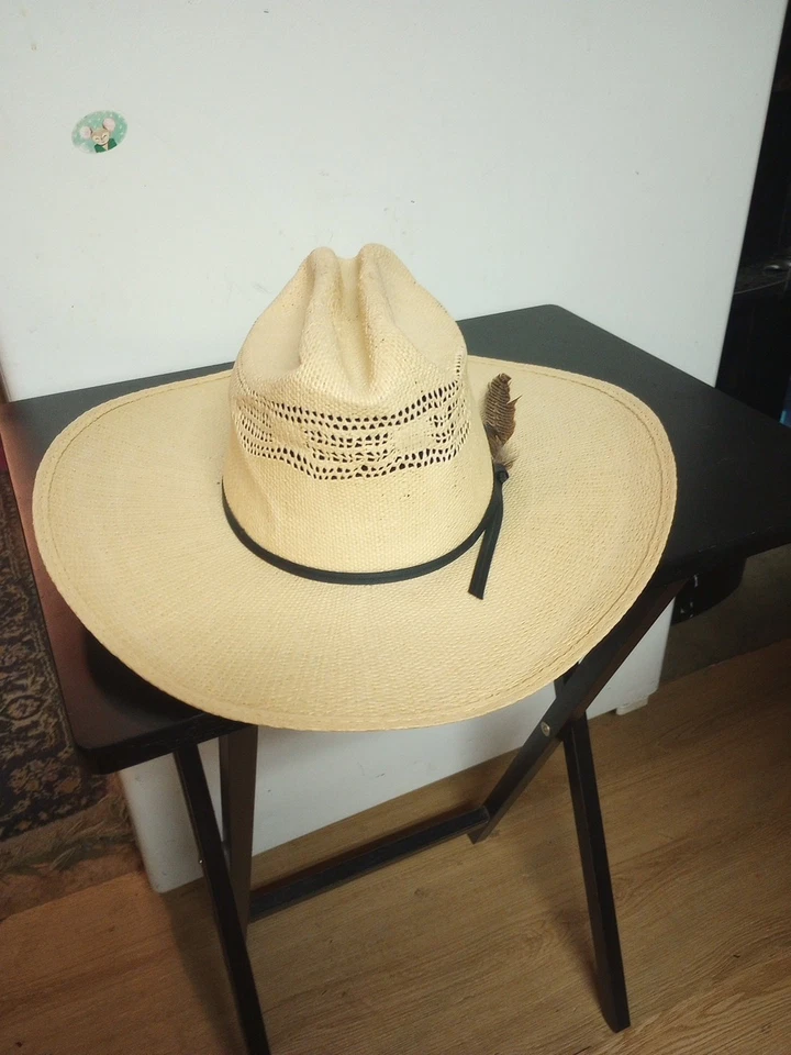 Sombrero de Vaquero de Paja Bangora Genuino Marca Castor Talla 6 7/8 Foto 2 de 4