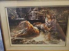 Dorothea Burley Hyde Signed Limited Edition Tiger Print 9/500 Framed Wildlife