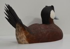 Awesome JIM RUTLEDGE LIFE SIZE RUDDY DUCK DRAKE CARVING DECOY Wood sculpture — photo 6