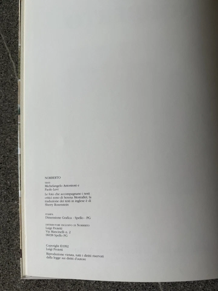LUIGI PROIETTI PRESENTA NORBERTO DIMENSIONE GRAFICA SPELLO 1992 LIBRO ILLUSTRATO - Immagine 3 di 4