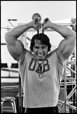 Filmposter Arnold Schwarzenegger Bodybuilding Fitnessstudio Motivation Wandbild Deko A4