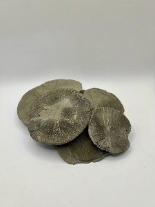 10 Perfect Round Pyrite Sun Dollars, Illinois 2.3-3.3”