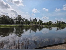 Digital Image Photo Wallpaper Background Art Desktop By The Pond! Only 0.99 Cent