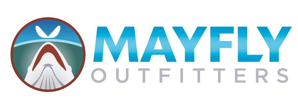 Gamberetti Sgusciati 100/200 400g Oggi Pesce - Prodotto • D'Ambros - Foto 10