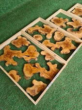 12- 24'' Olive Wood Boards With Cookies For Epoxy, Olive Wood For Resin Art