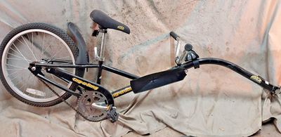 #ad 2010 Trail A Bike Tag A Long Folder 20quot; Kids Bike Attachment Pull A Long Steel $106.06