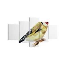 Quadro su Tela 125x70cm Cardellino uccello acquerello Stampe Immagini Murale