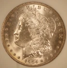 1904 Morgan Dollar. NGC MS-64. Starts at .99. NO RESERVE