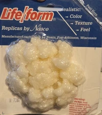 Life Form Nasco Replica Food CAULIFLOWE Nutrition Education Movie Prop play food