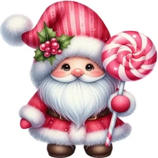 30 Custom Christmas Candy Gnome Personalized Address Labels