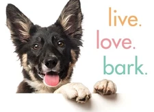 Live. Love. Bark. by Sourcebooks Hardback Book The Fast Free Shipping