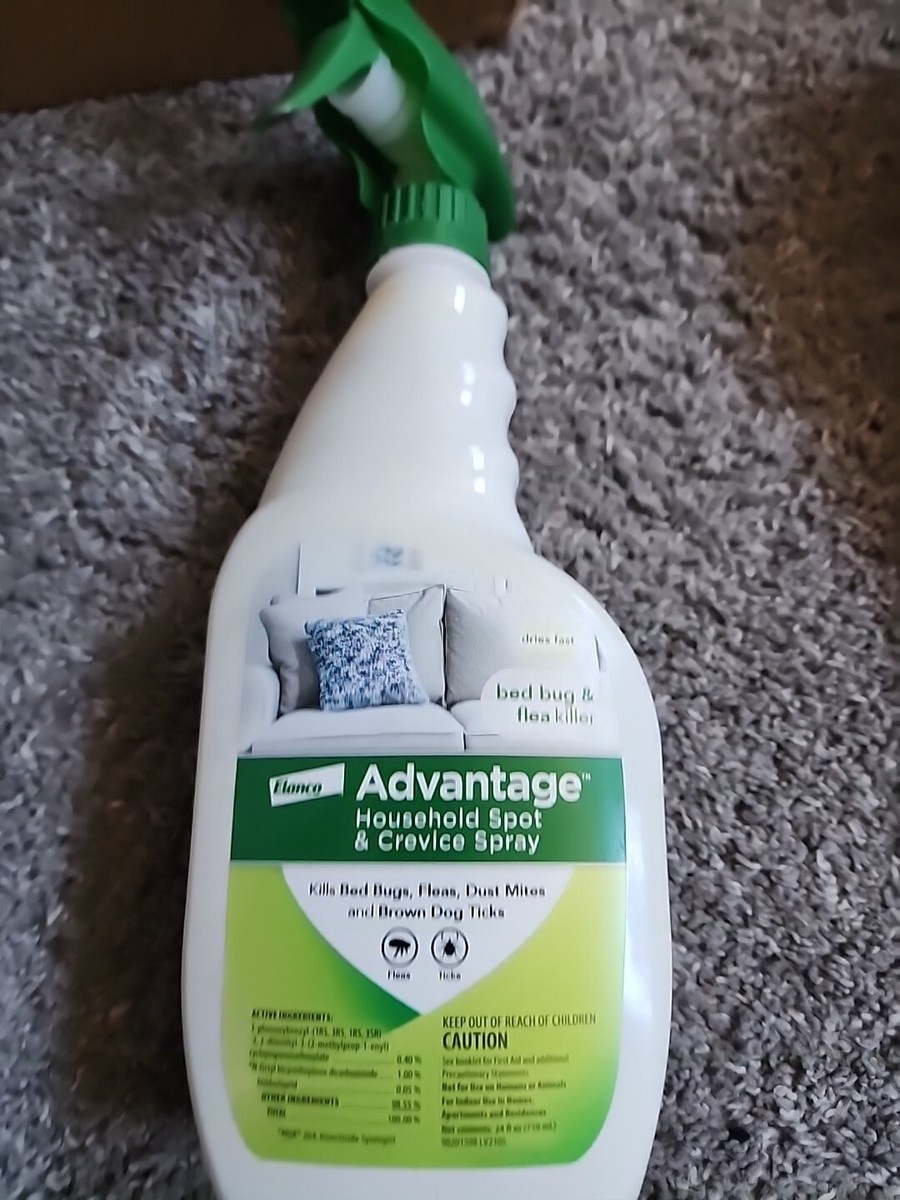 Flea Treatment Advantage Bed Bug And Flea Killer Flea Killer Spray