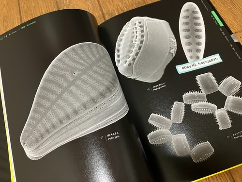 The Amazing World of Diatoms Photobook Visual Book - 第 3/7 張圖片