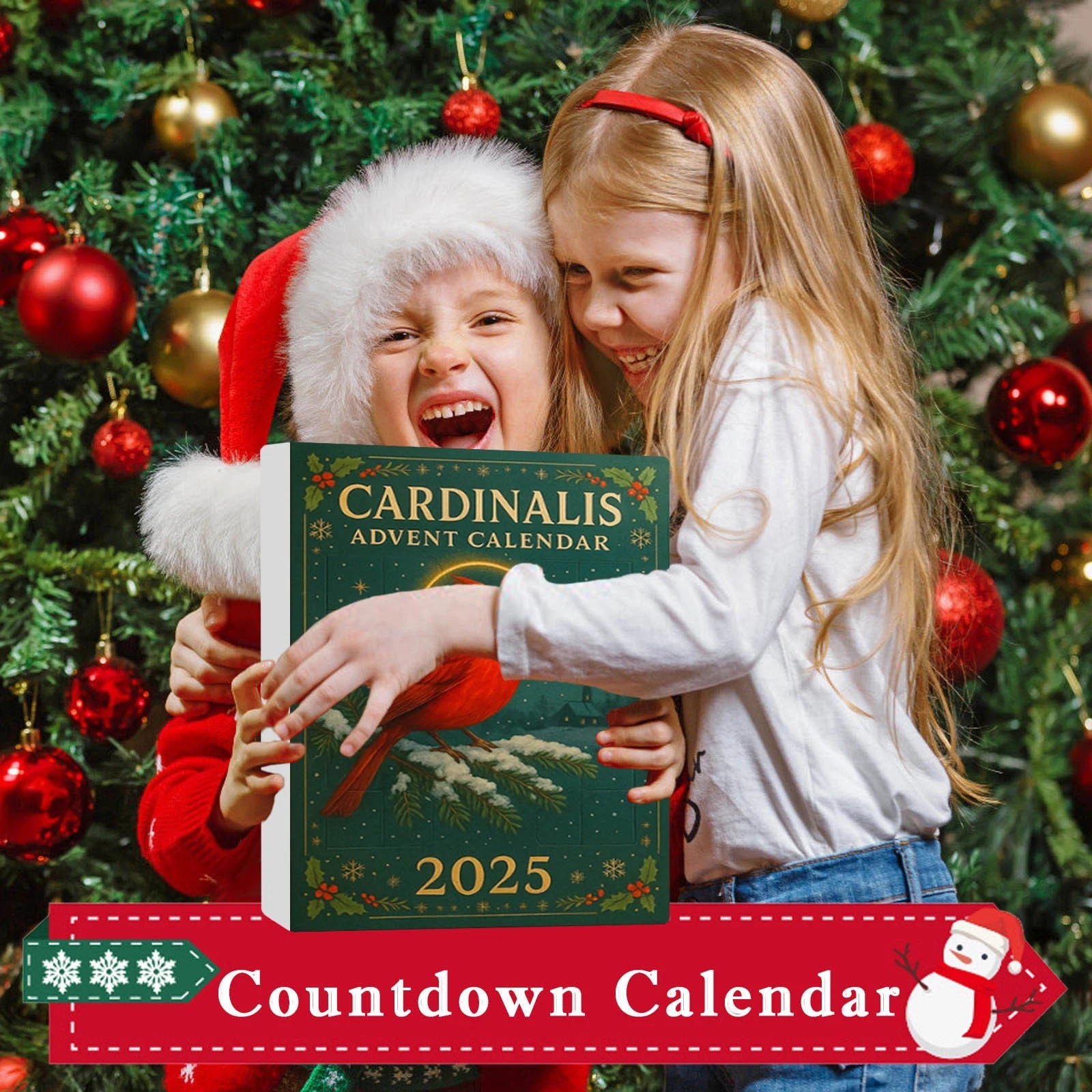 2025 Cardinalis Acrylic Advent Calendar 24 Days 2D Collectibles Decor