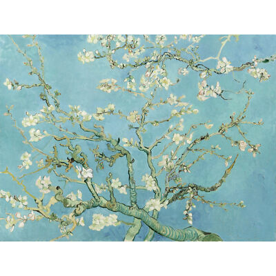 Vincent van Gogh Mandelblüte extra großer Wandbilddruck Premium Leinwandbild