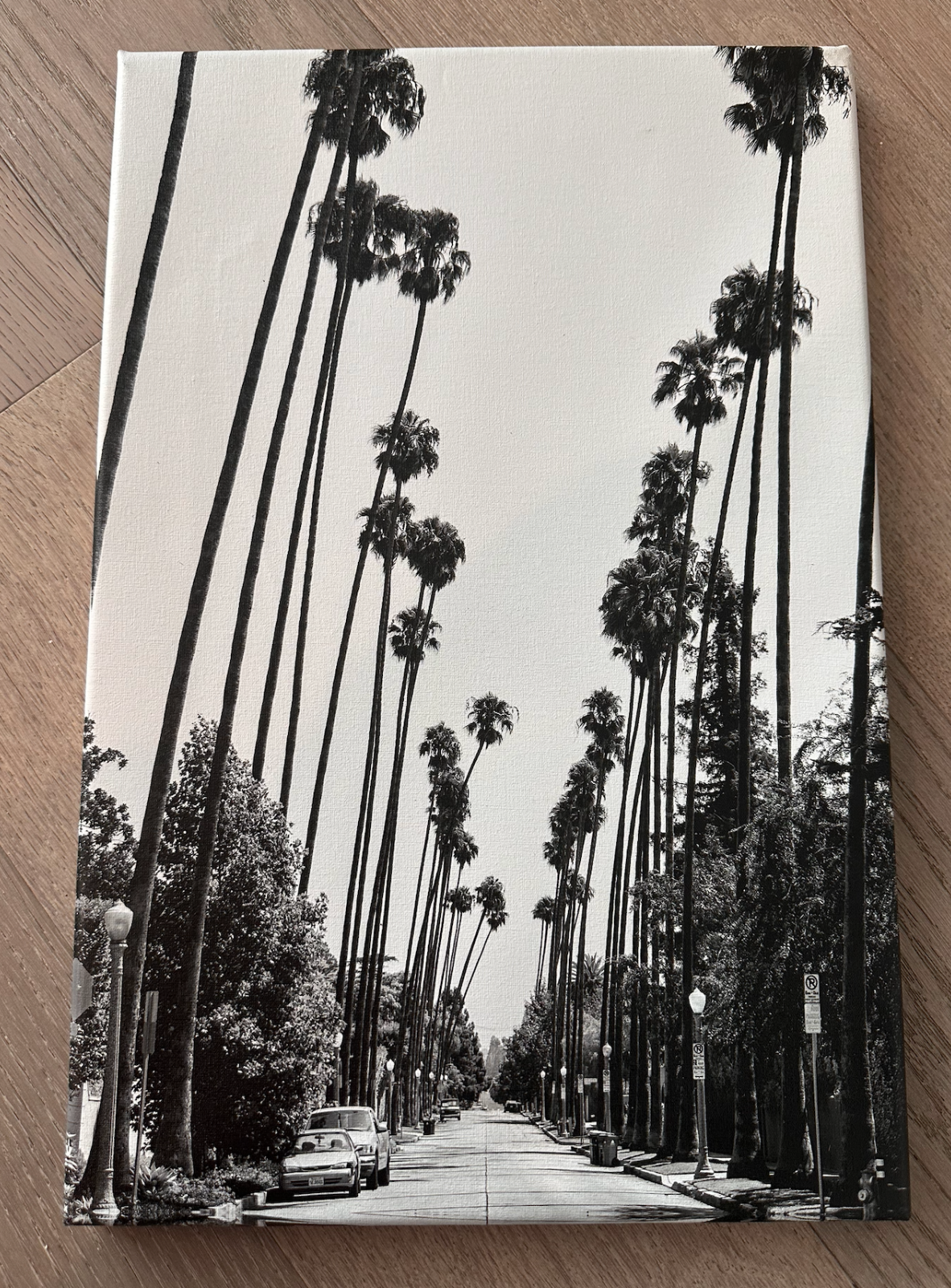 Los Angeles Palm Trees Wall Art 12x18 Inches Modern Decor-image