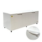 35 Cu. ft. Commercial Chest Freezer, White
