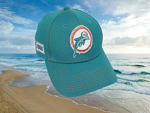 ebay miami dolphins