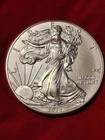 2014 1 Troy oz 0.999 Pure Silver American Eagle Dollar