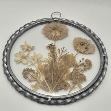 Lasting Impressions Dried Flowers 6 Inch Hanging Frame