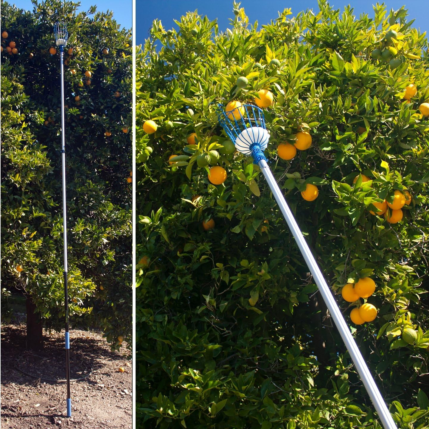 EVERSPROUT 4.5-To-12Ft Durable Fruit Picker with 20+ Foot Reach – Telescoping Fr