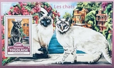 TOGO CATS STAMPS SHEET MNH 2016 CAT SIAMESE BURMILLA PET FELINE DOMESTIC ANIMALS